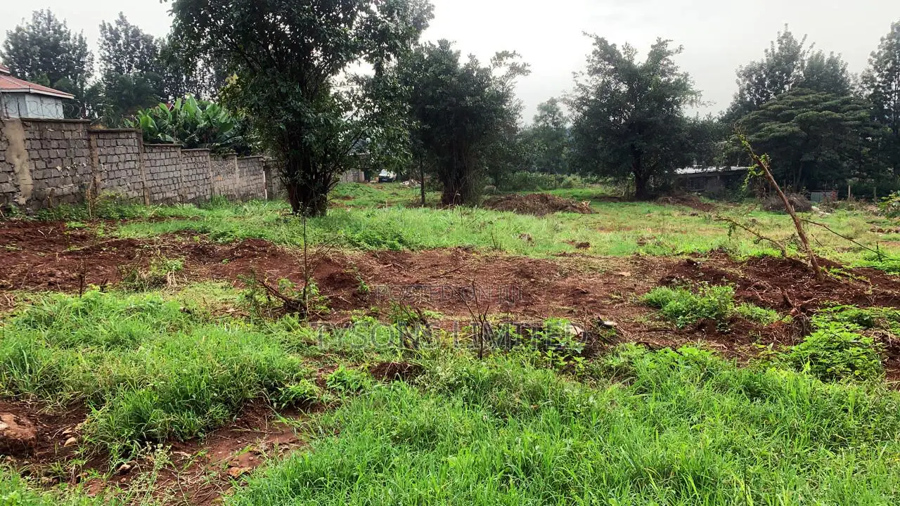 Plot for Sale in Thindigua