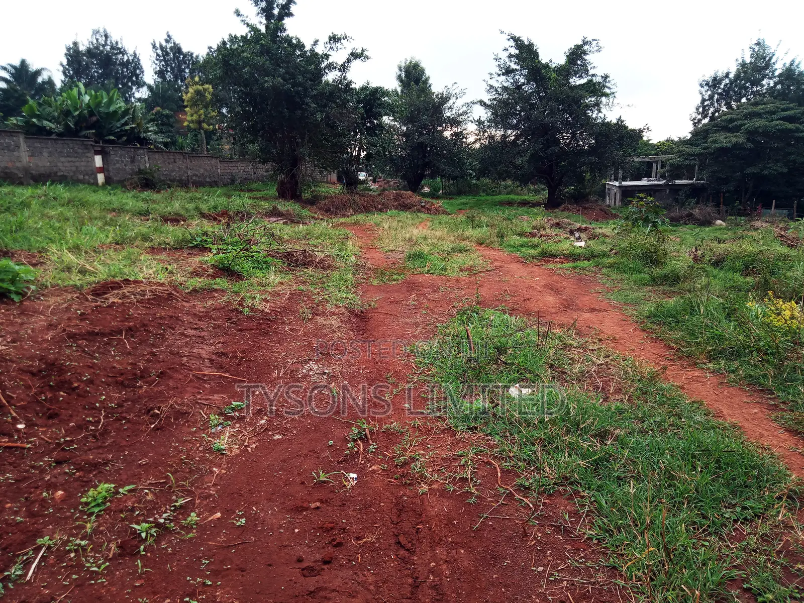 Plot for Sale in Thindigua