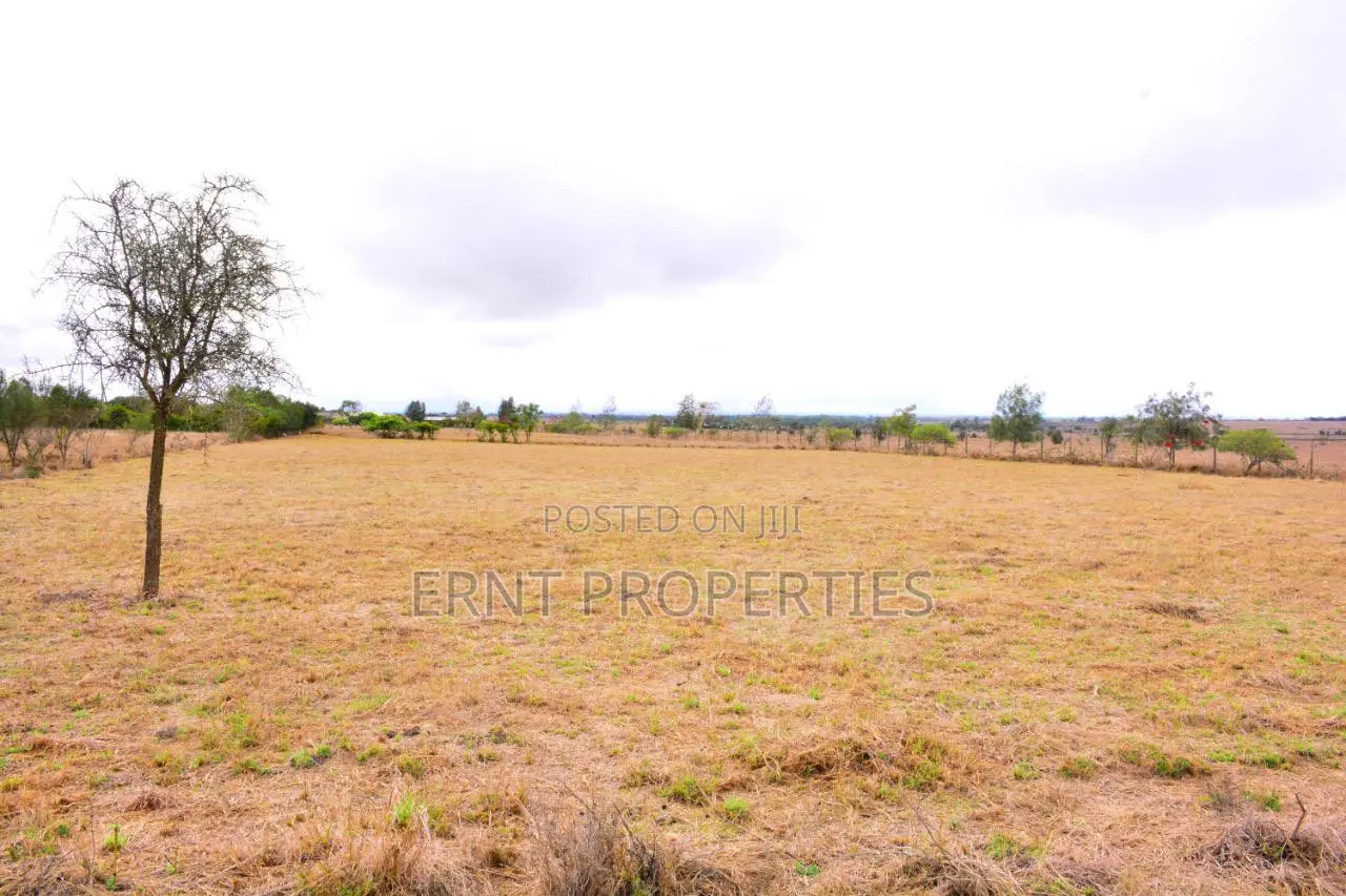 Prime 1⁄2 Acre Plot – Naisula Ii, Kisaju