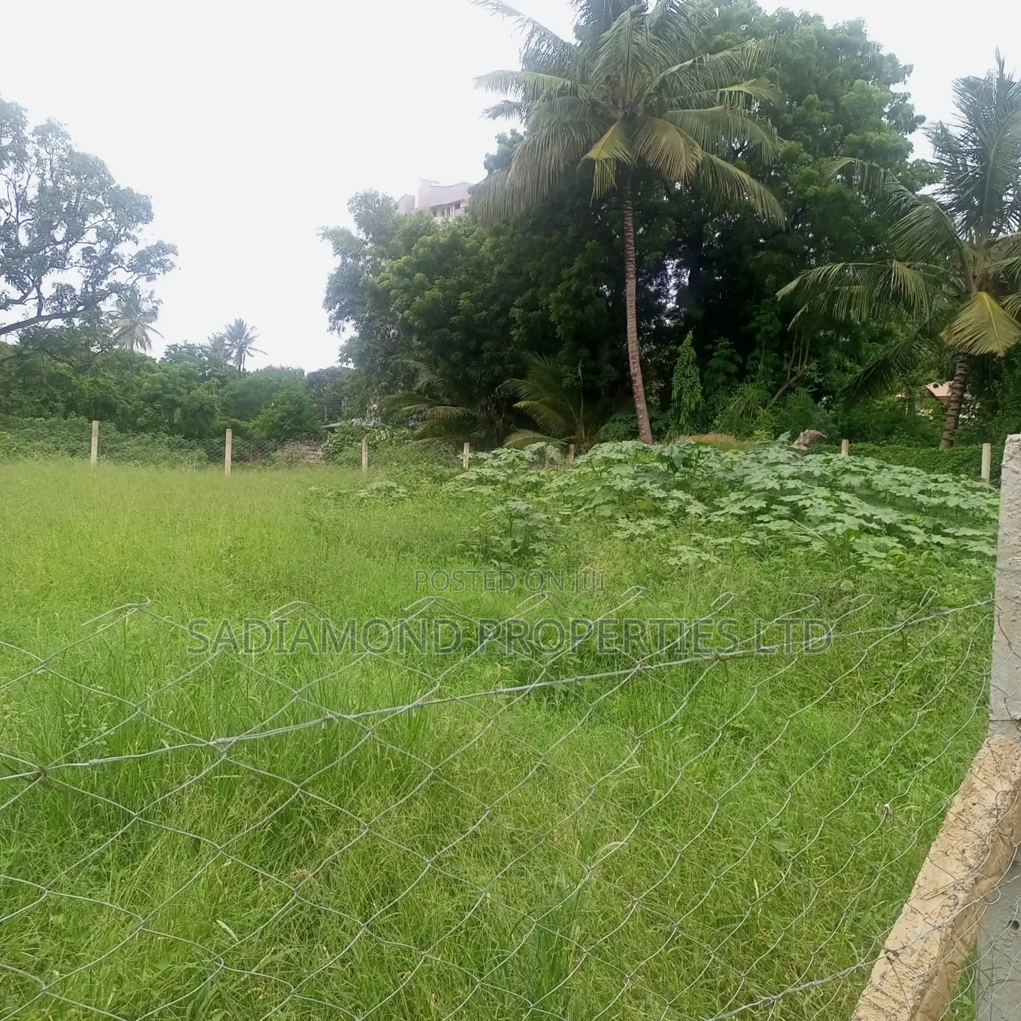 Prime 1/8 Acre Land for Sale in Mtwapa
