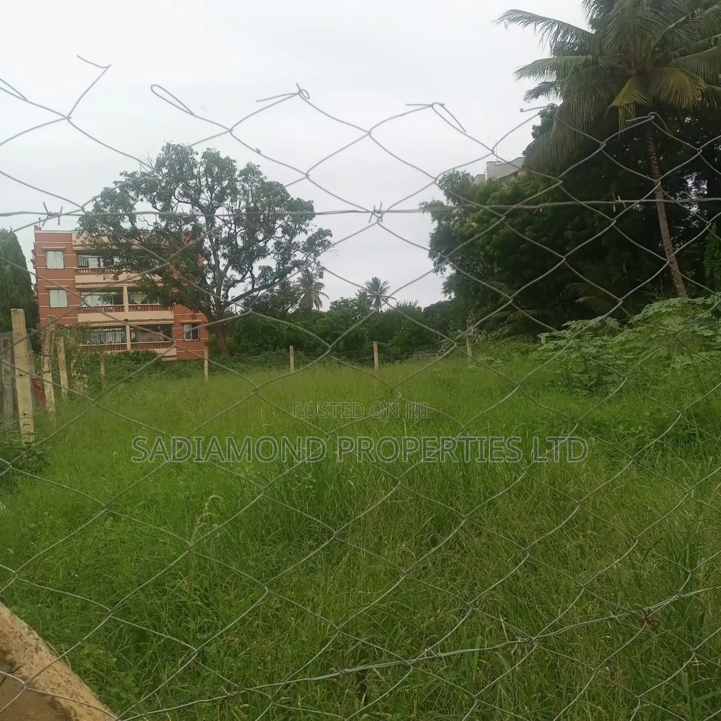 Prime 1/8 Acre Land for Sale in Mtwapa