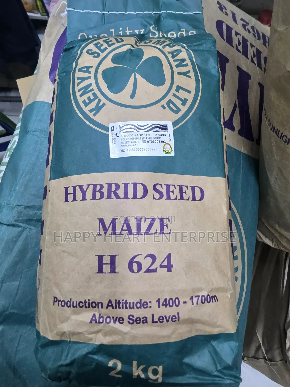 Hybrid Maize Seed H624 2kg