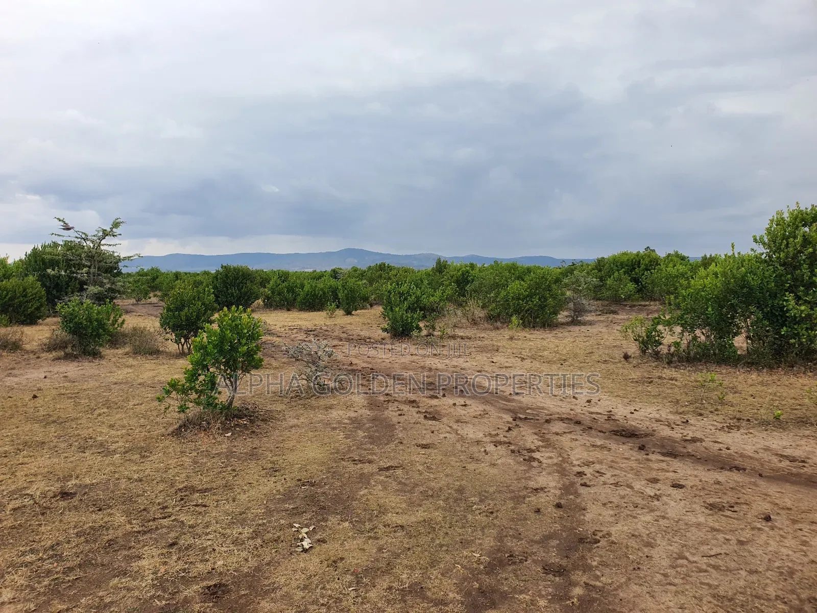 2 Acres for in Mukima [ Nanyuki ]