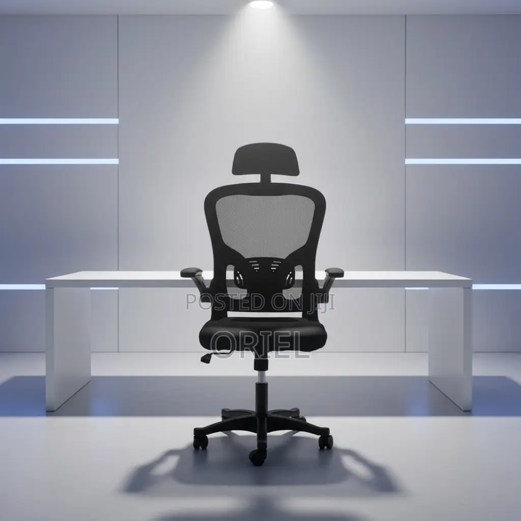Office Chair : Ergonomic Mesh Office Chair With Adjusted Arms