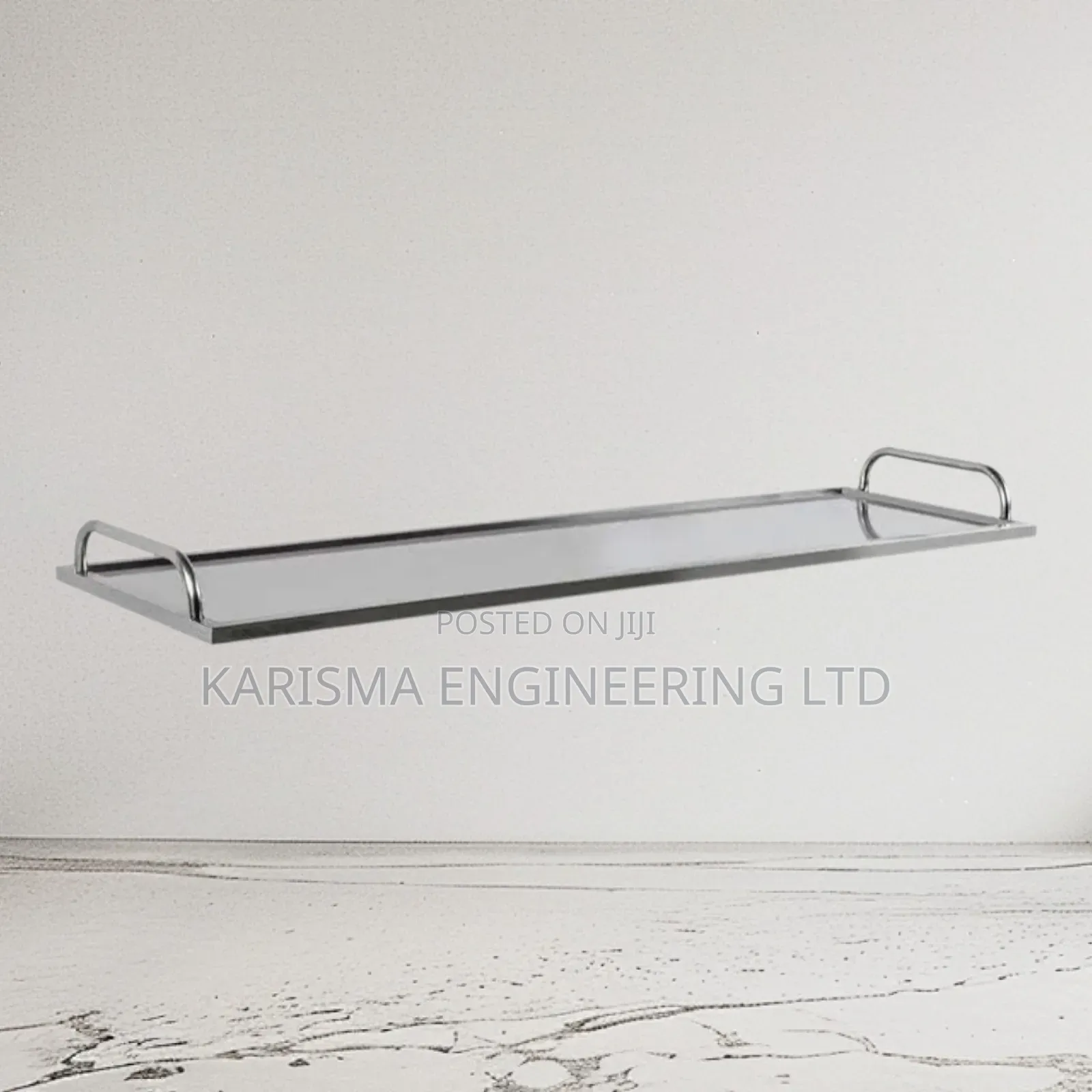Stainless Steel Body Tray
