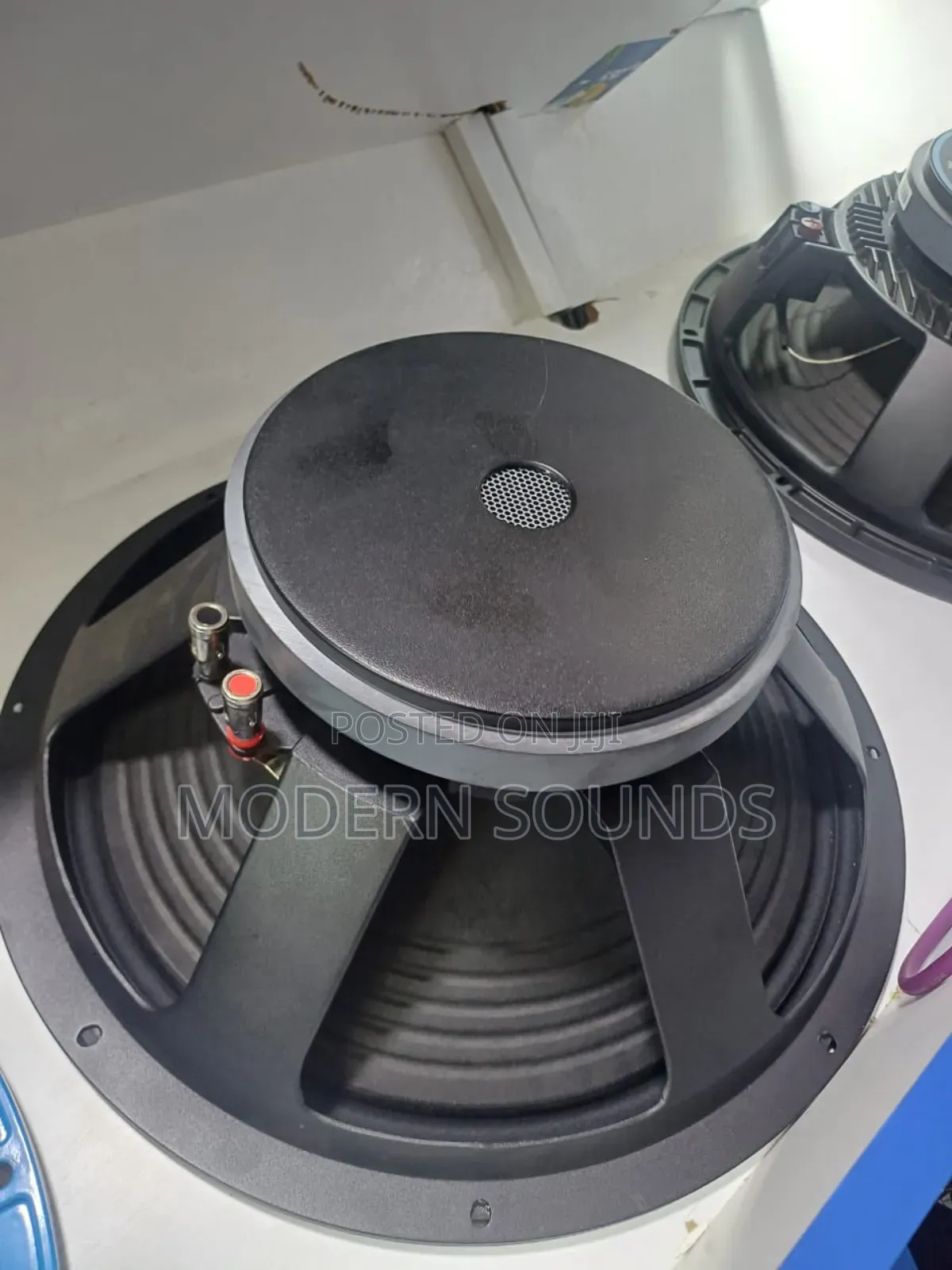 Professional Powered Naked Speaker
