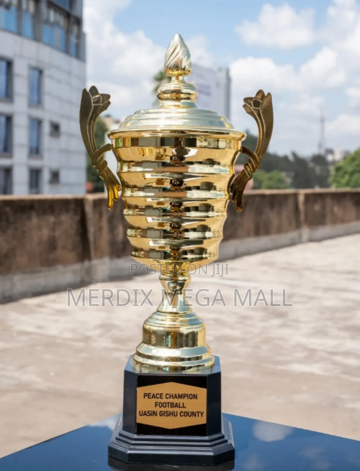 227g-Trophy Cup,Trophies, Trophy