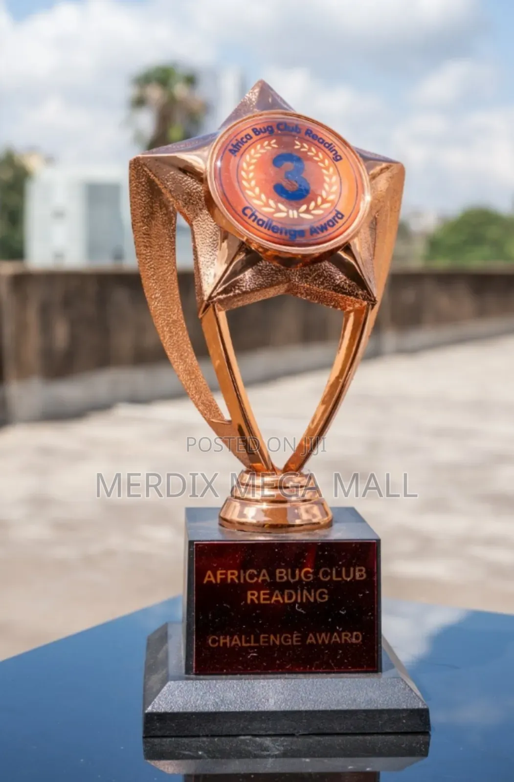 Bronze Trophy,Trophies, Trophy