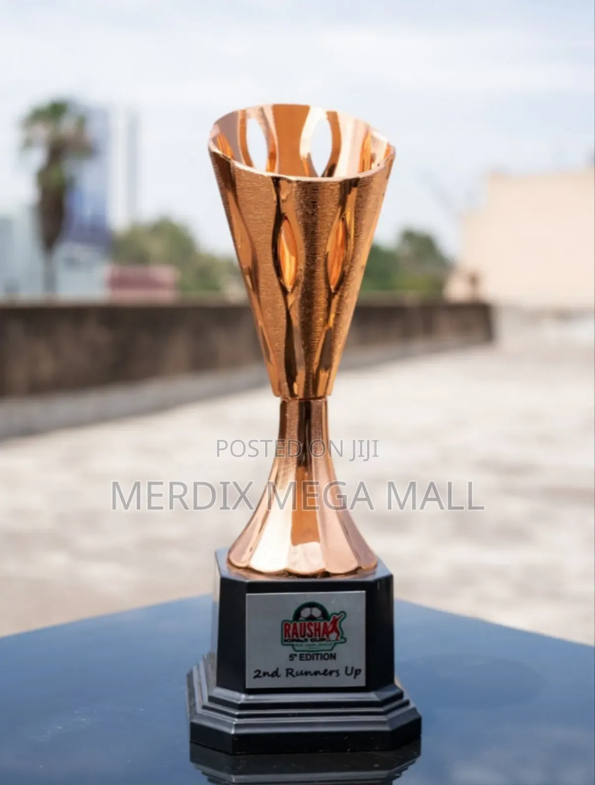 Ms-2345da,Bronze Trophy,Trophies, Trophy