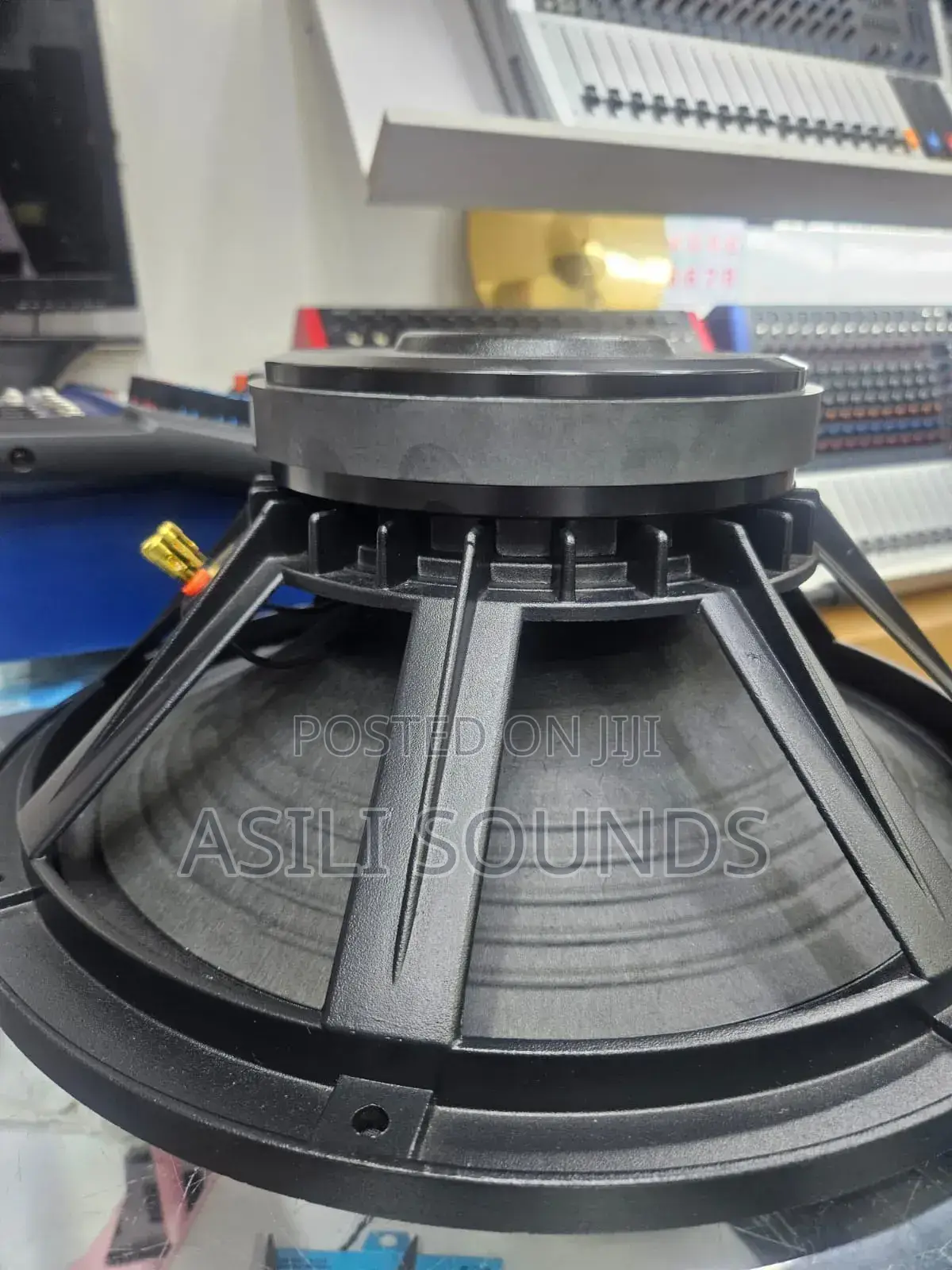 15-Inch Professional Naked Woofer Speaker