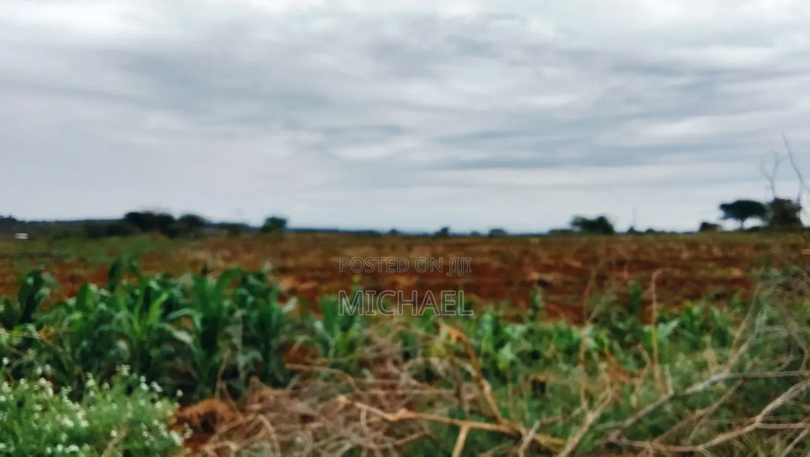 3 Acres Prime Farmland – Loitoktok | 4km From Tarmac | Freehold T