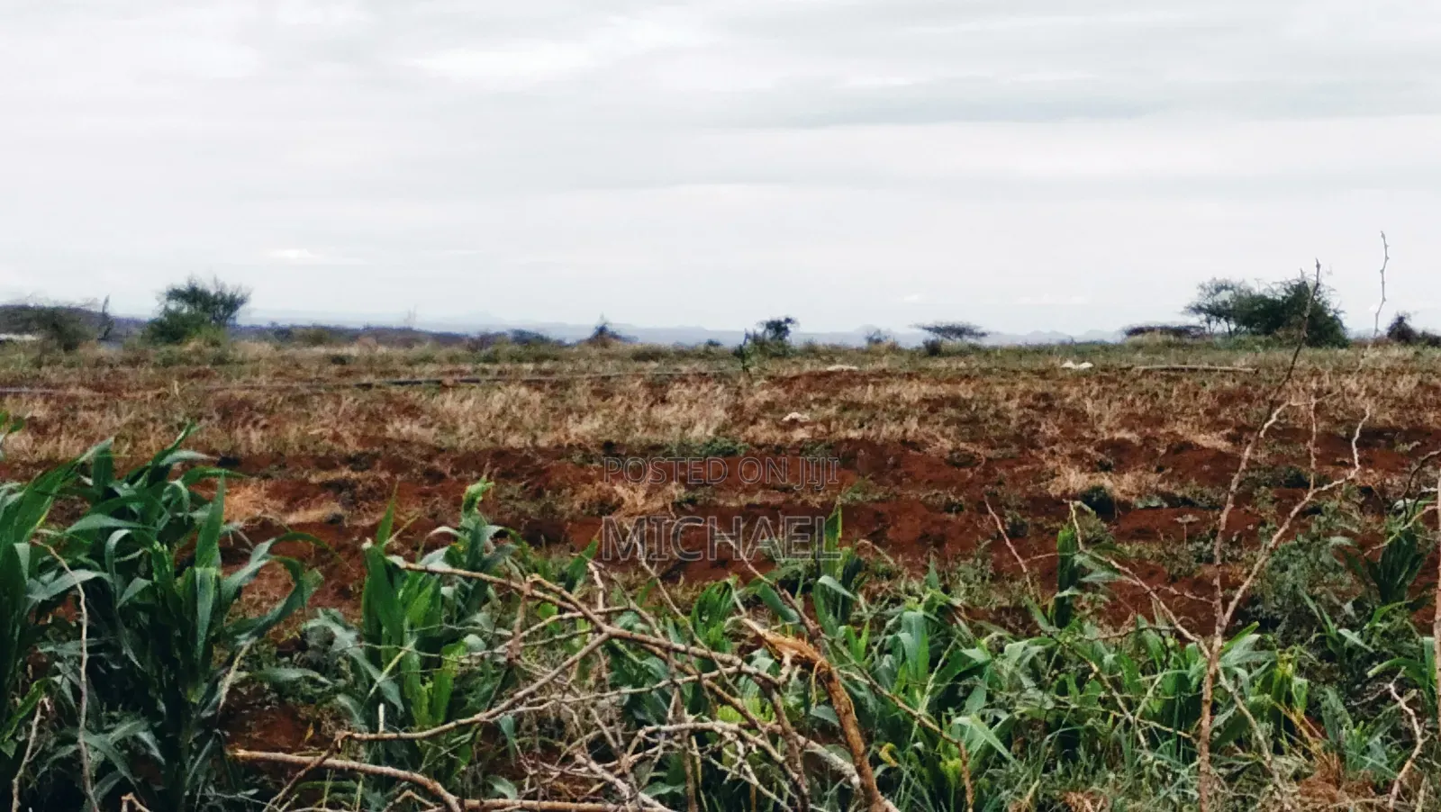 3 Acres Prime Farmland – Loitoktok | 4km From Tarmac | Freehold T