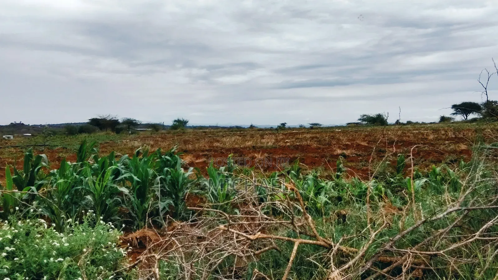 3 Acres Prime Farmland – Loitoktok | 4km From Tarmac | Freehold T