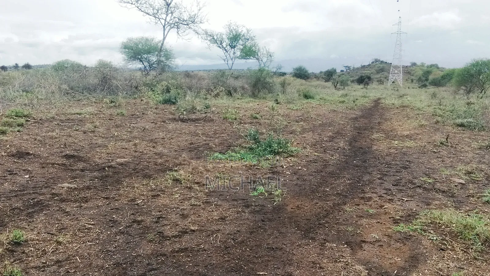 31 Acres for Sale Freehold Titles | Great Investment