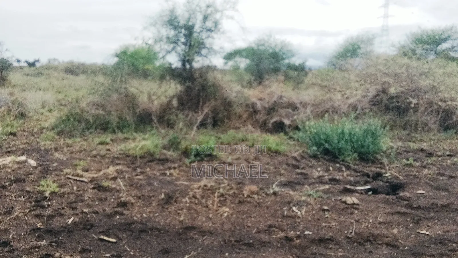 31 Acres for Sale Freehold Titles | Great Investment