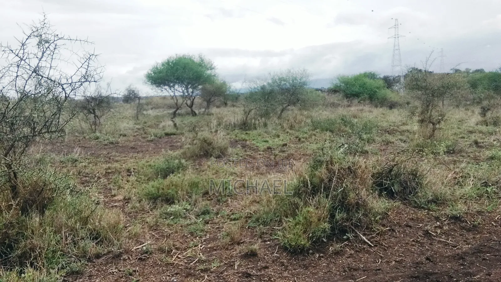 31 Acres for Sale Freehold Titles | Great Investment
