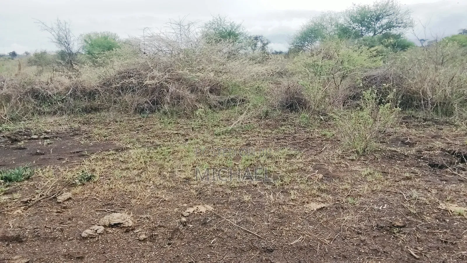 31 Acres for Sale Freehold Titles | Great Investment