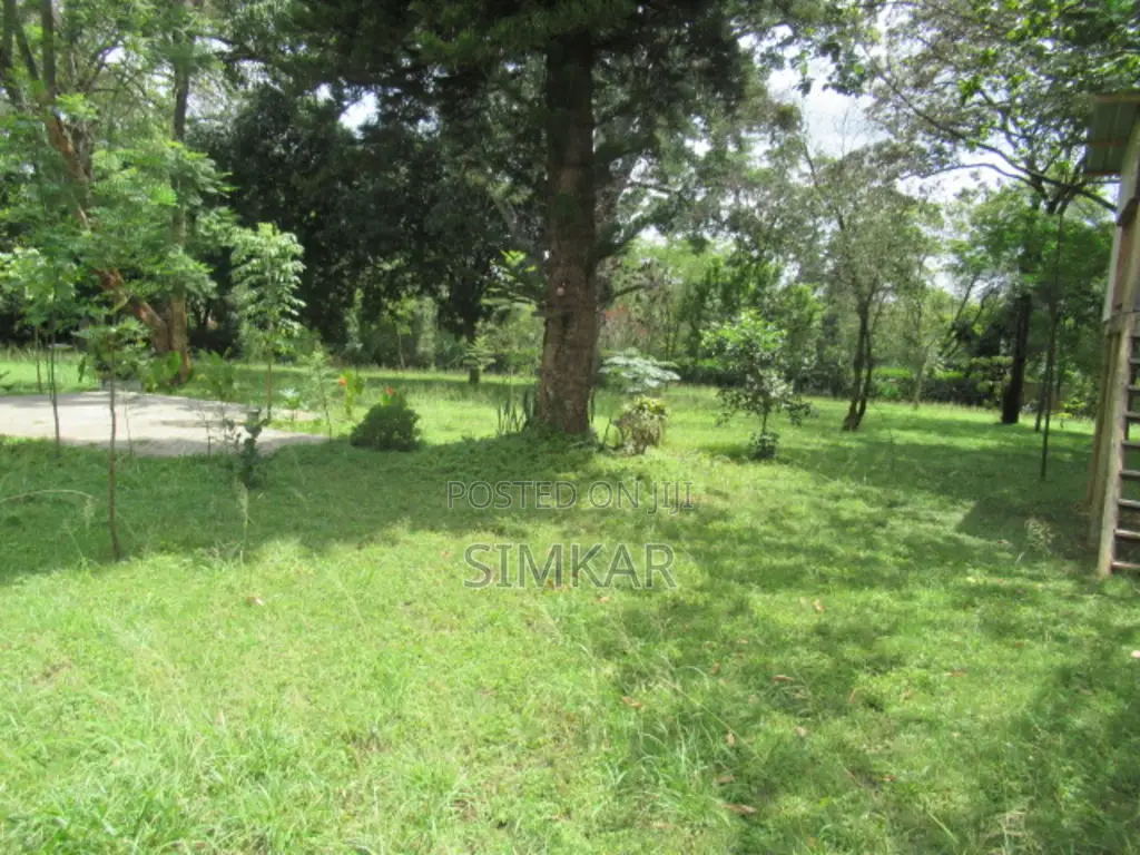 1.4-Acre Plot for Sale in Karen Hardy