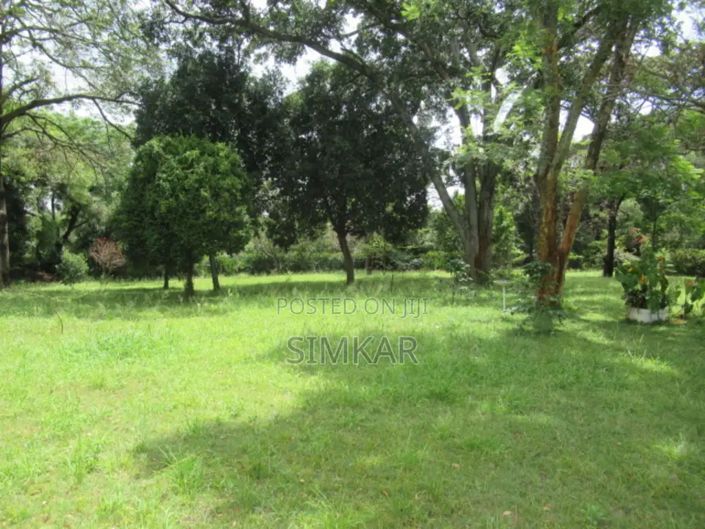 1.4-Acre Plot for Sale in Karen Hardy