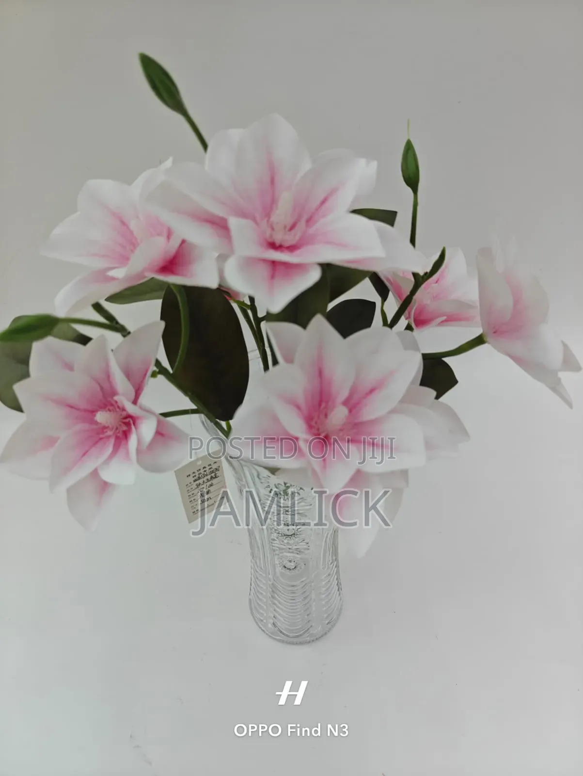 Glass Vase With Flower - Cd
