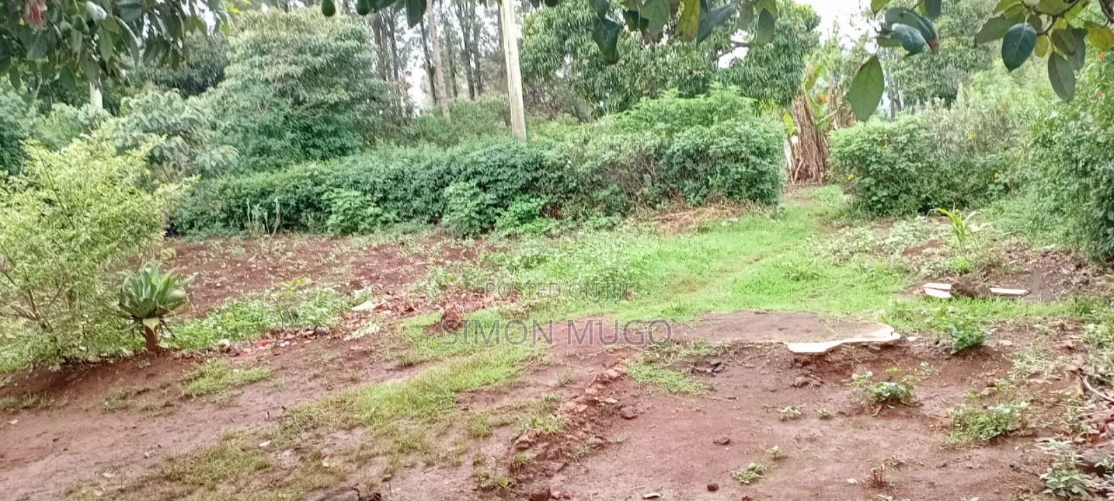 Lower Matasia Prime 100x100 Plot on Tarmac Road