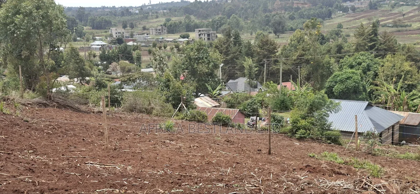 50x100 Residential Plot Available for Sale in Kikuyu Migumoini
