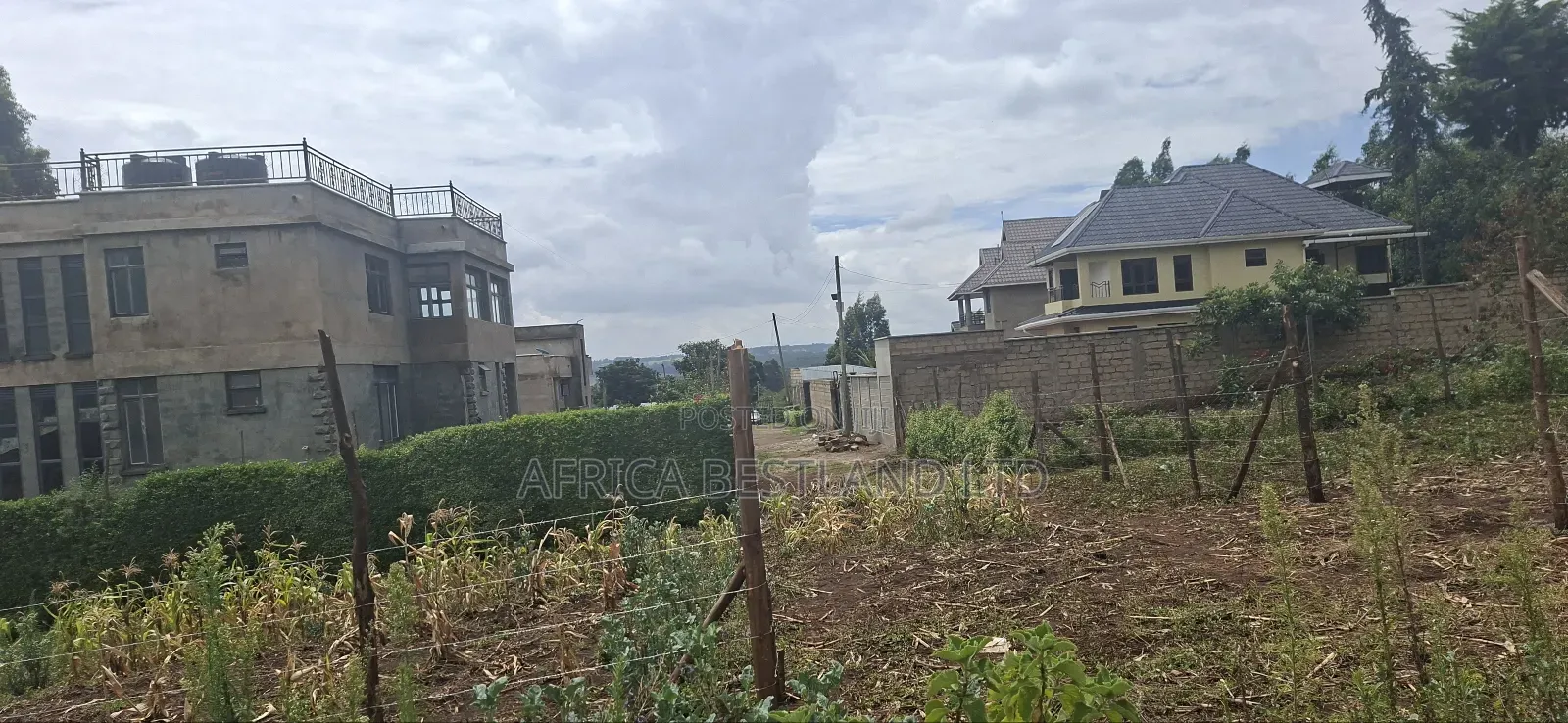 Available 4 Plots 50x100 in Muguga Thamanda