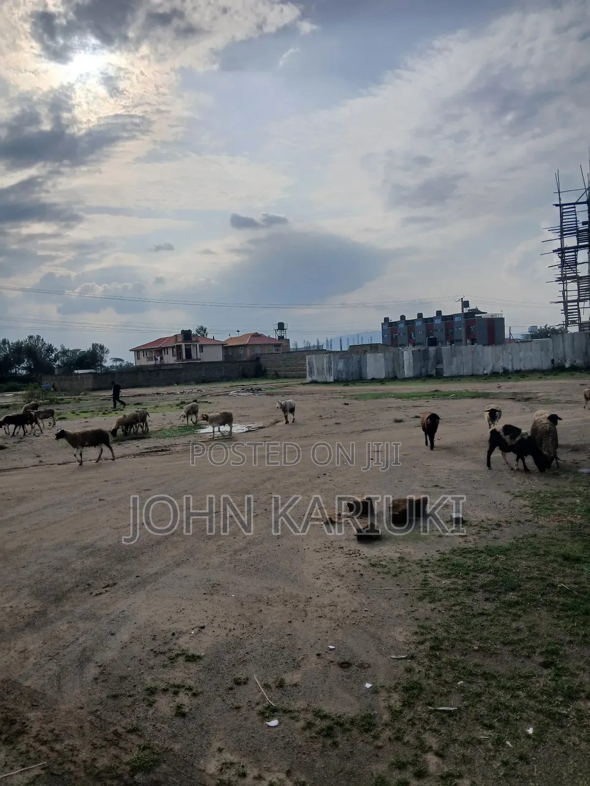 50x100 Plots in Naivasha Munuga Area Near Astorian Resortand Delamere