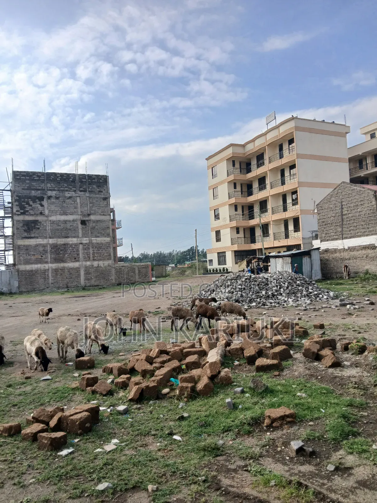 50x100 Plots in Naivasha Munuga Area Near Astorian Resortand Delamere