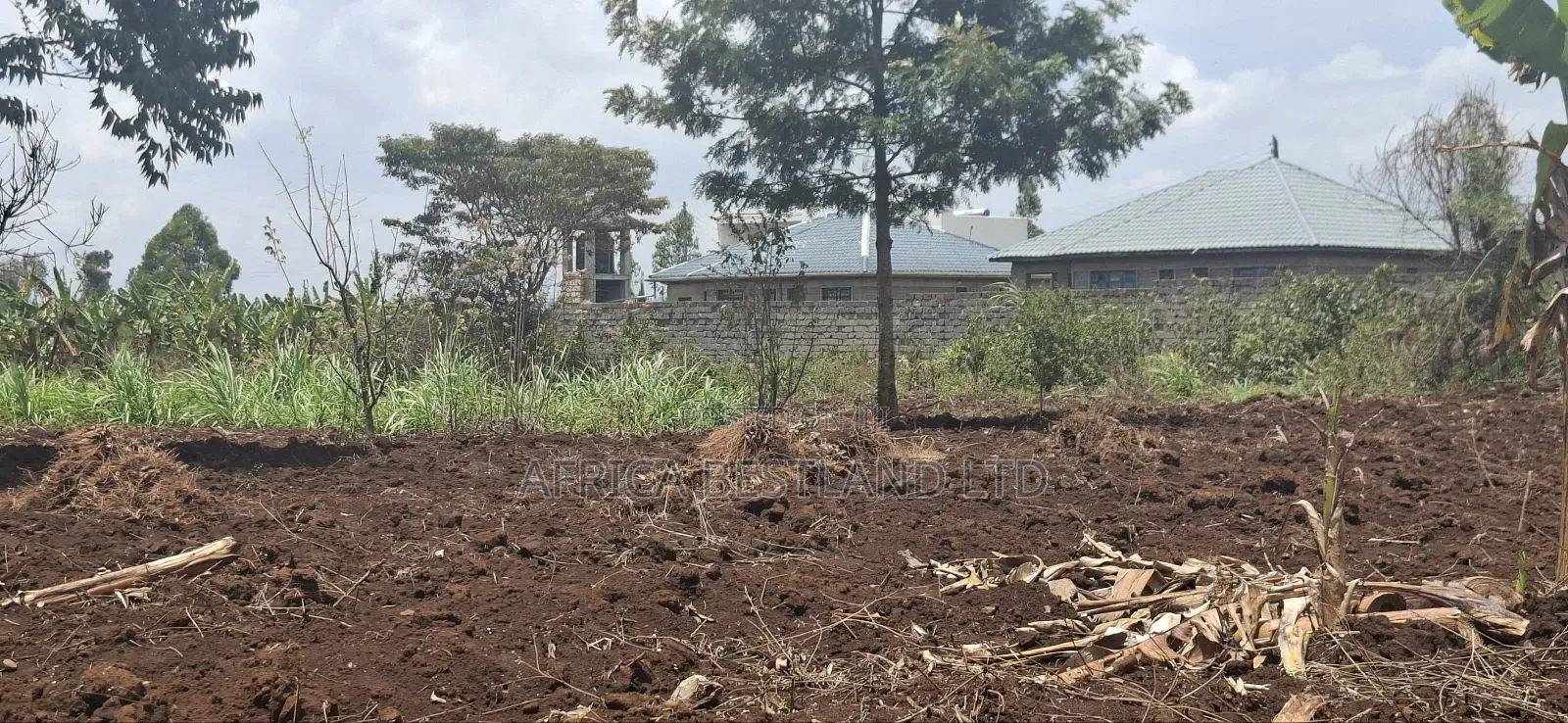Location Gikambura Kiambu County 50x100 Plot