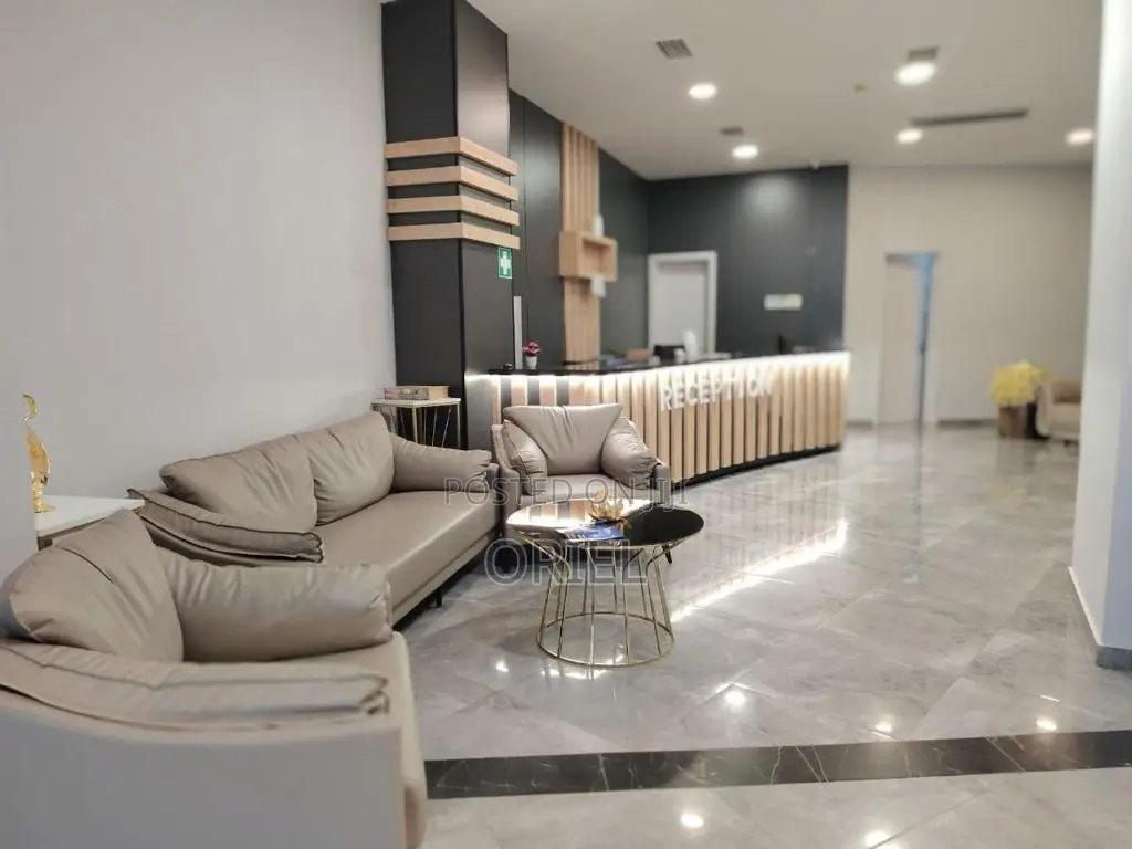Executive Office Sofa : Executive Corporate Reception Sofa