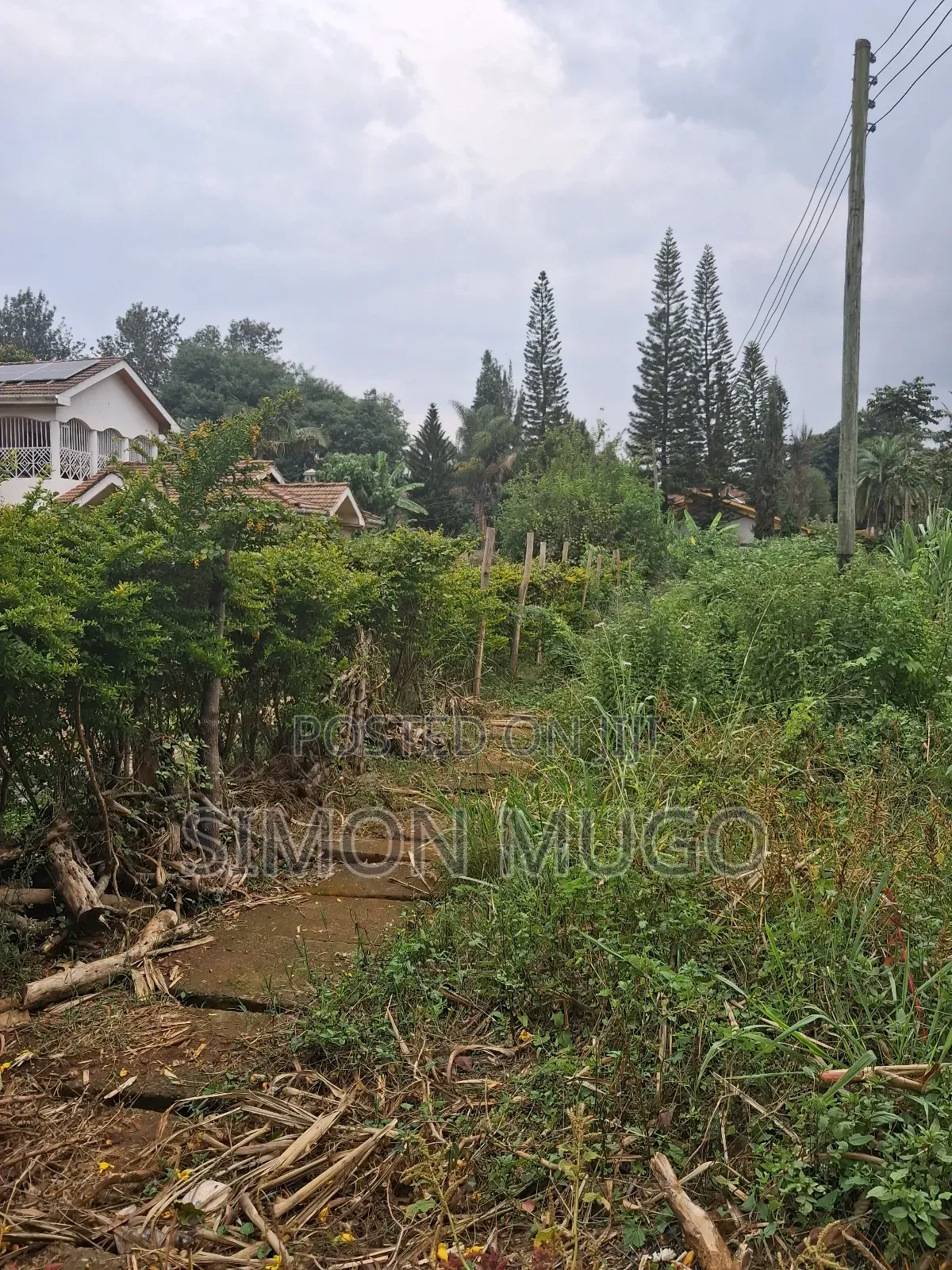 Muthithi Gardens Kiambu Road Prime Secure Serviced 1/2ac With Hedge
