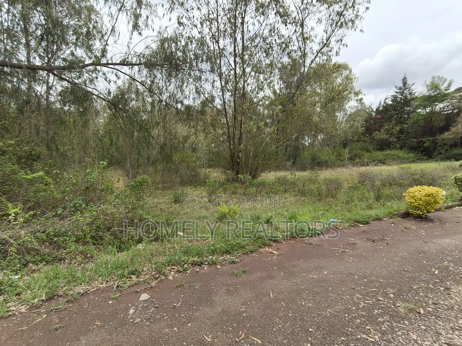 Prime 2.6 Acres Touching Tarmac for Sale in Karen, Nairobi
