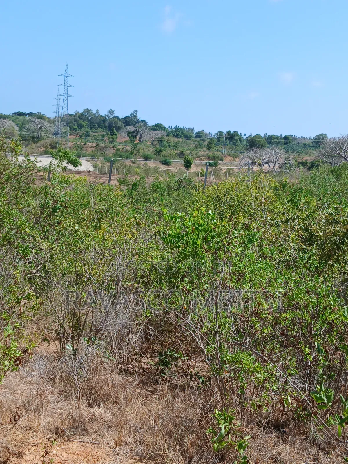 5 Acres Forsale in Kilifi Near Mnarani Secondary School.