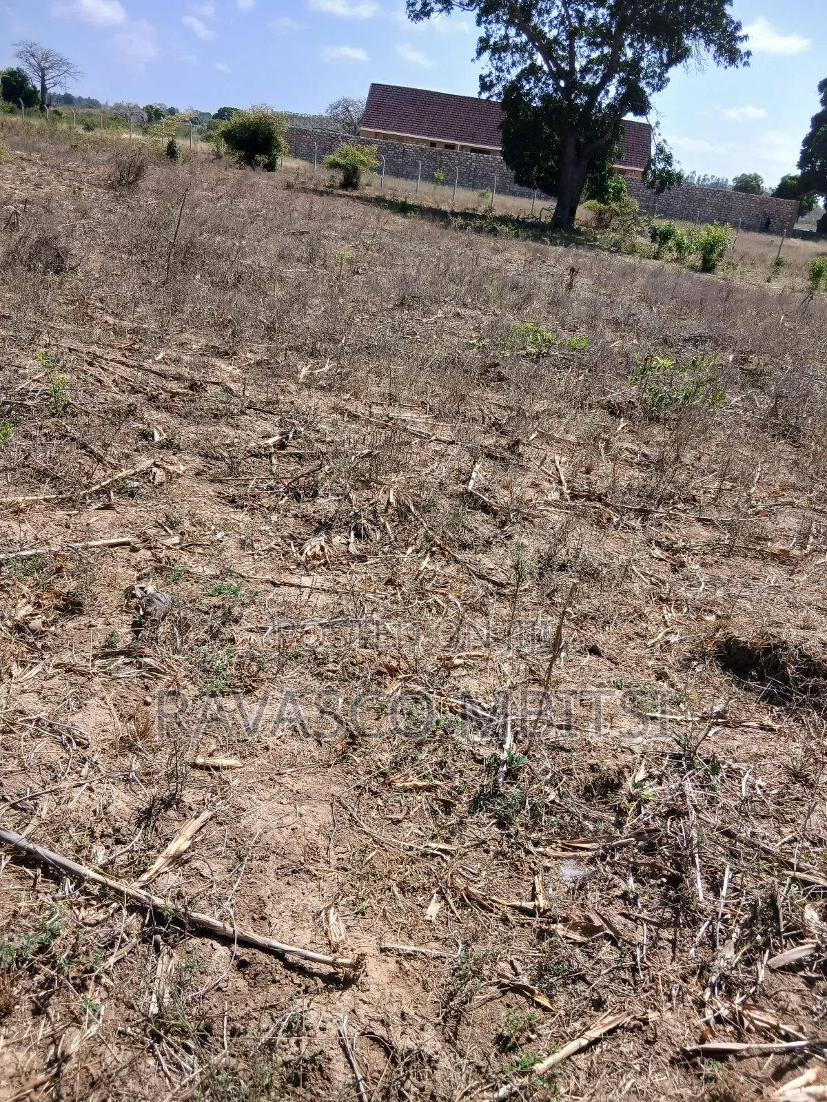 5 Acres Forsale in Kilifi Near Mnarani Secondary School.