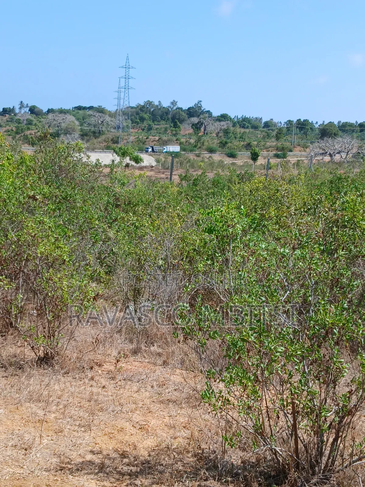 5 Acres Forsale in Kilifi Near Mnarani Secondary School.