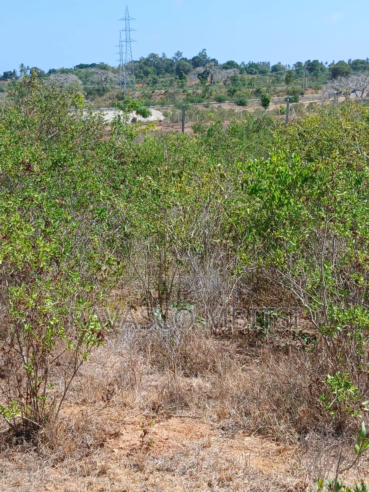 5 Acres Forsale in Kilifi Near Mnarani Secondary School.