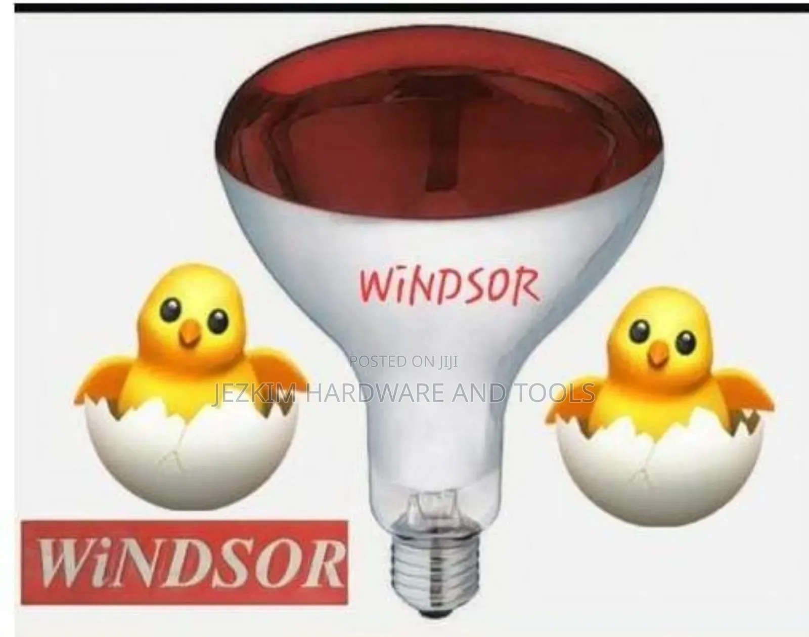 Infrared Bulb , Chicken Bulb