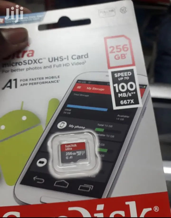 256 GB Sandisk Memory Card.