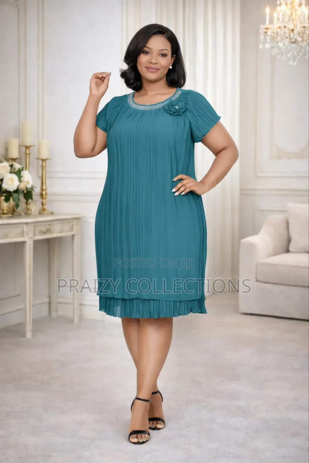 Soft Pleated Chiffon Dress