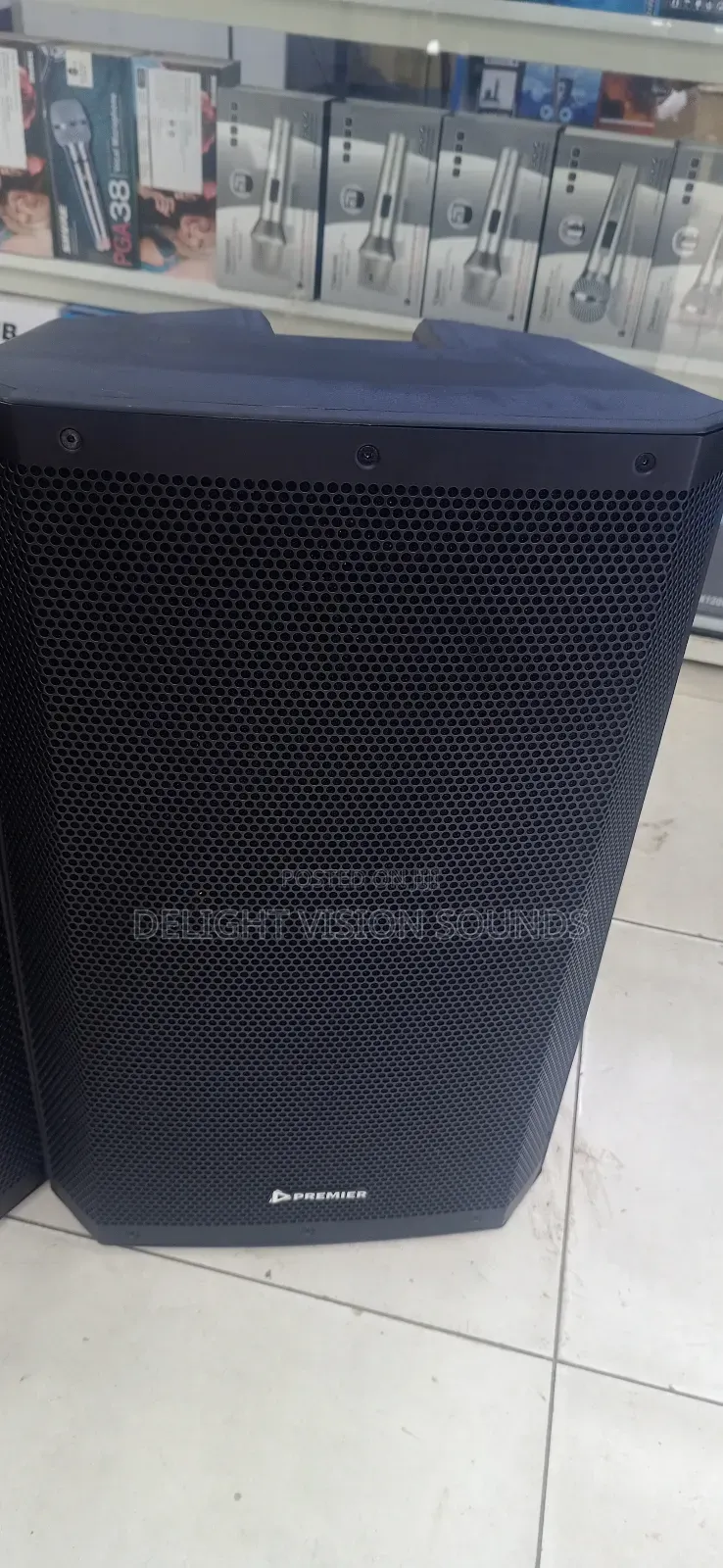 Premier 15 Inches Speaker