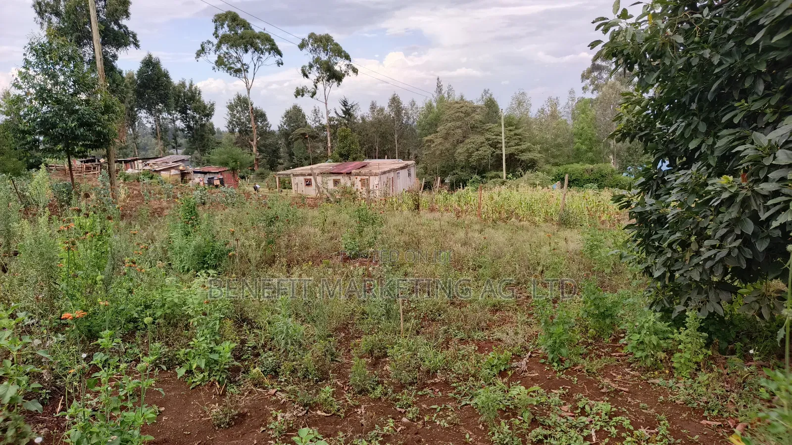 1⁄8 Acre Plot for Sale in Ngong Kahara Centre