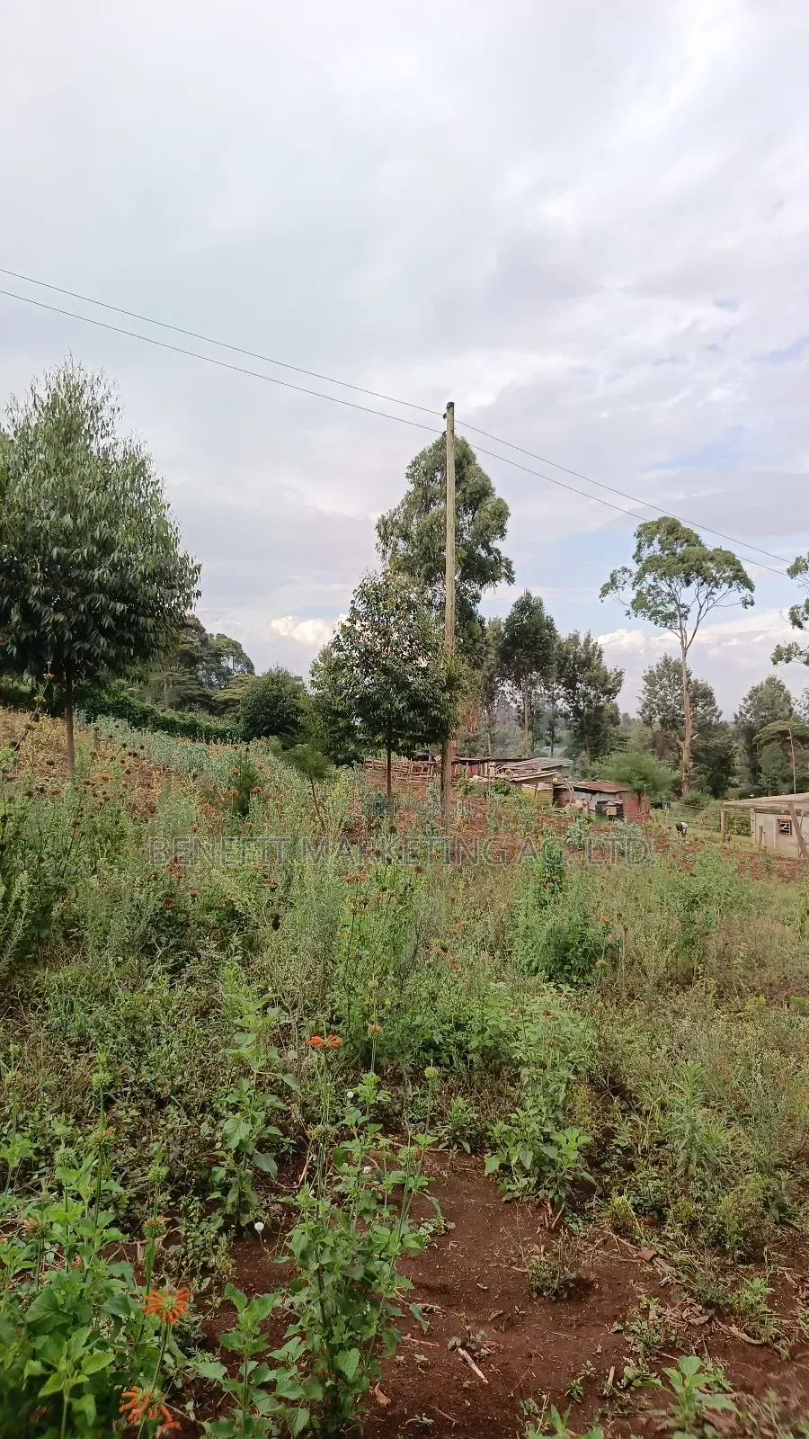 1⁄8 Acre Plot for Sale in Ngong Kahara Centre