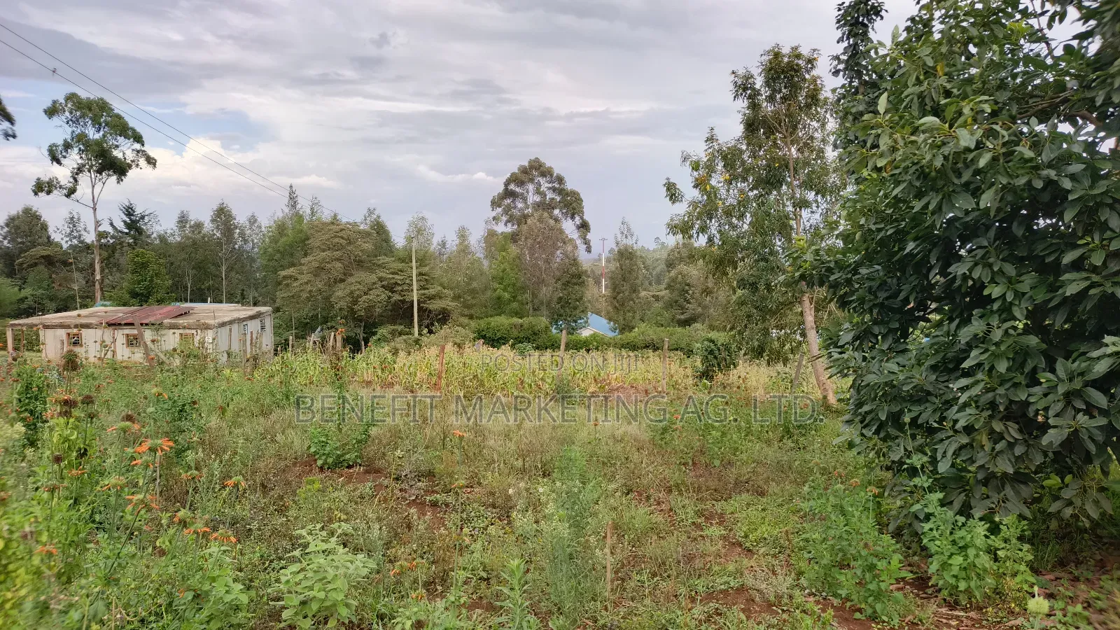 1⁄8 Acre Plot for Sale in Ngong Kahara Centre