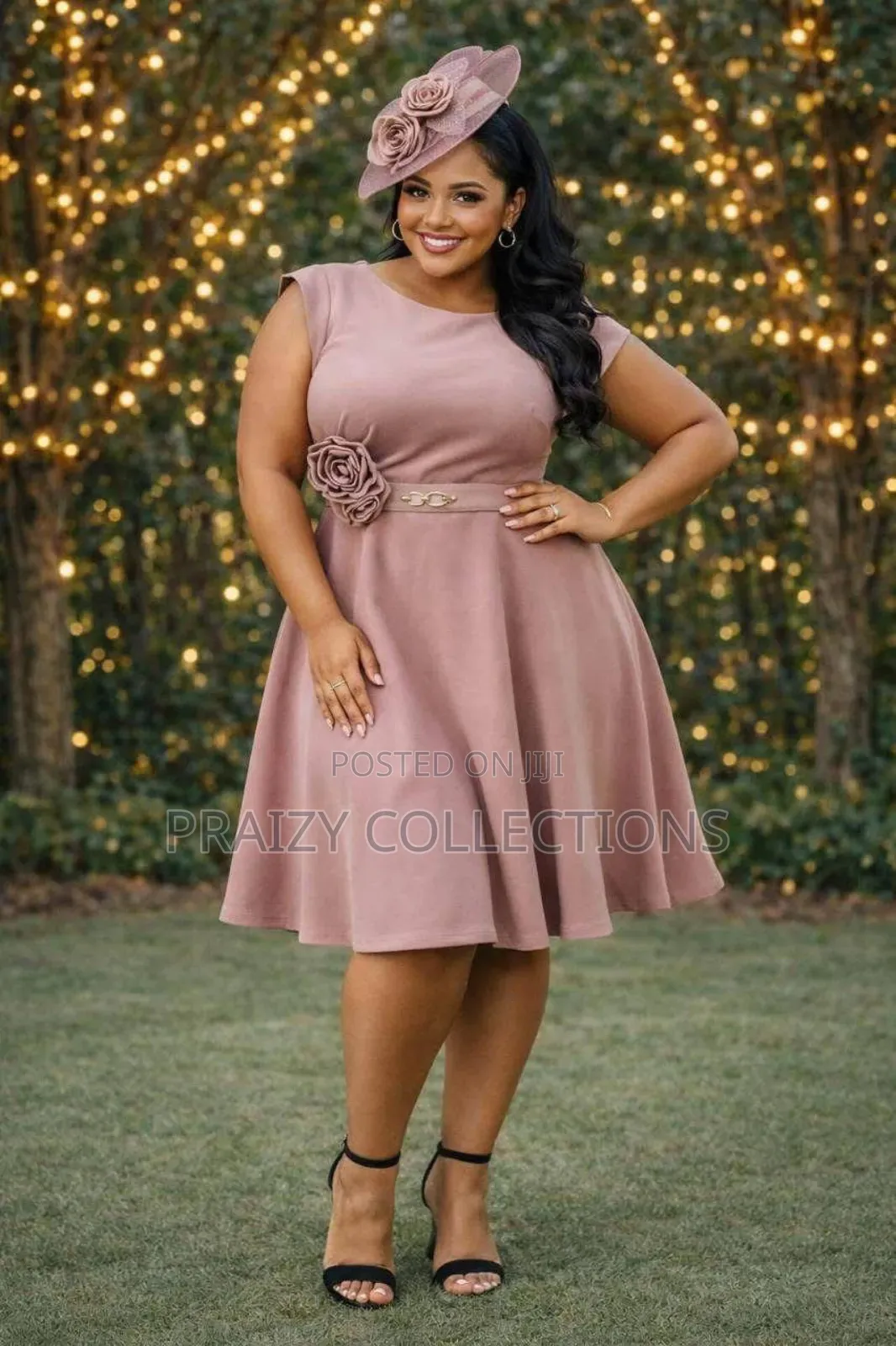 Stylish Skater Ladies Dress