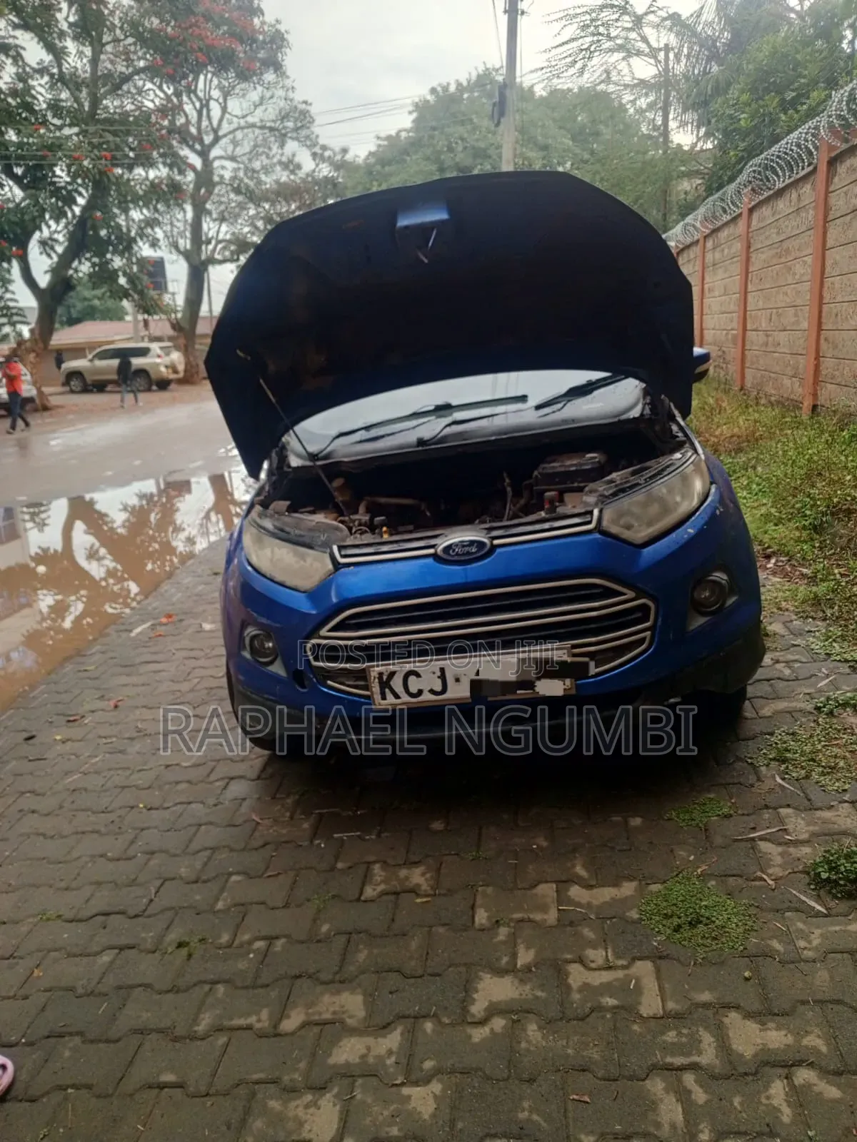 Ford Ecosport 2016 Blue