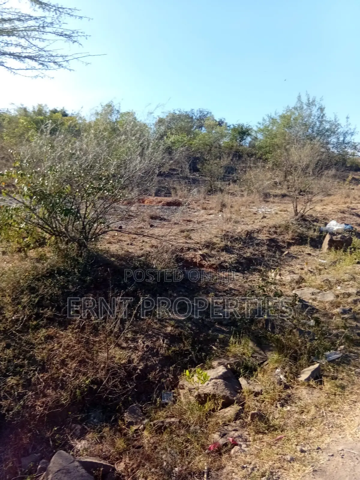 Prime 1/4 Acre Residential Plots for Sale in Rongai