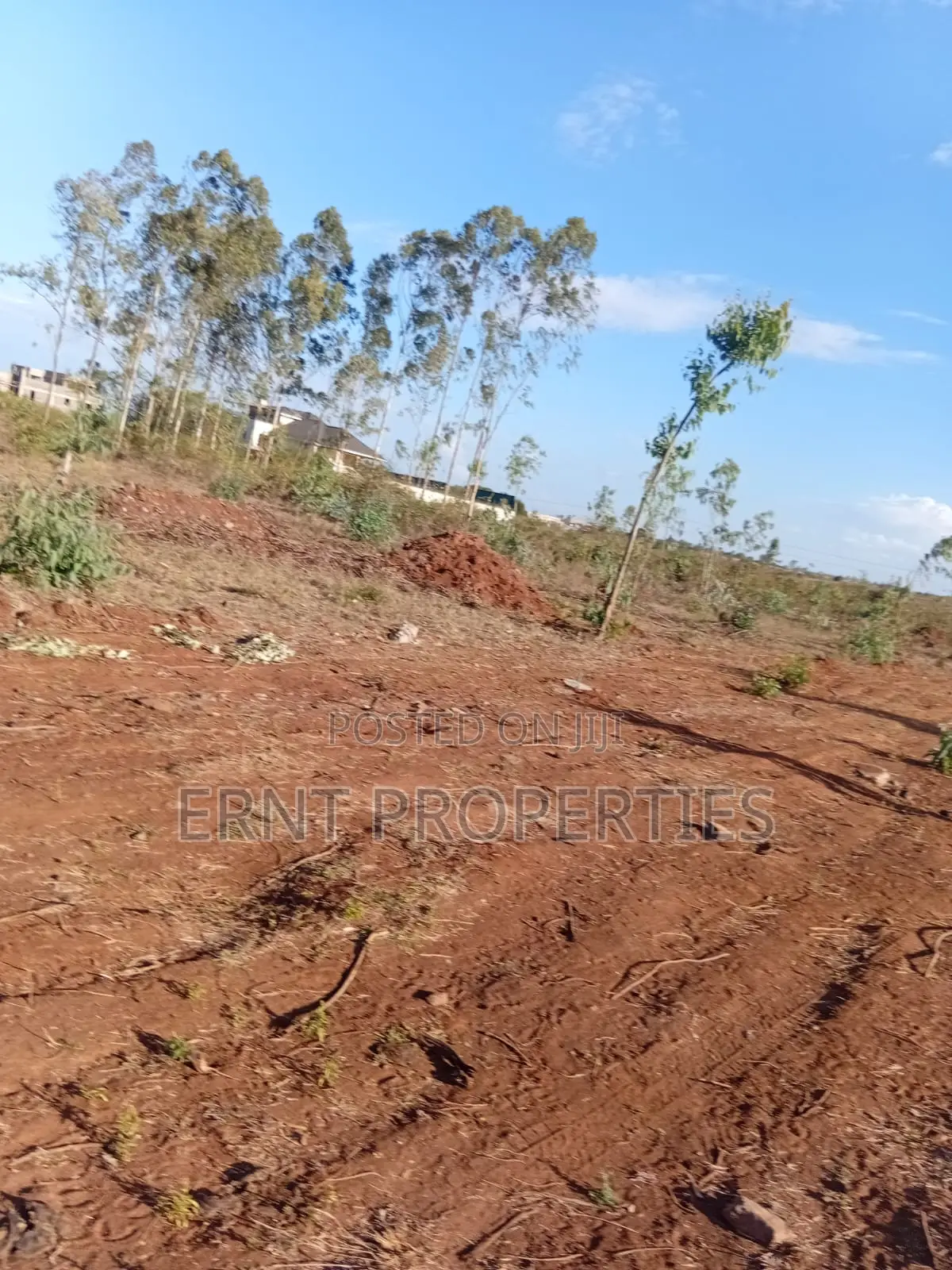 Easter Offer 26 1/4 Acre Plots for Sale Near African Nazarene