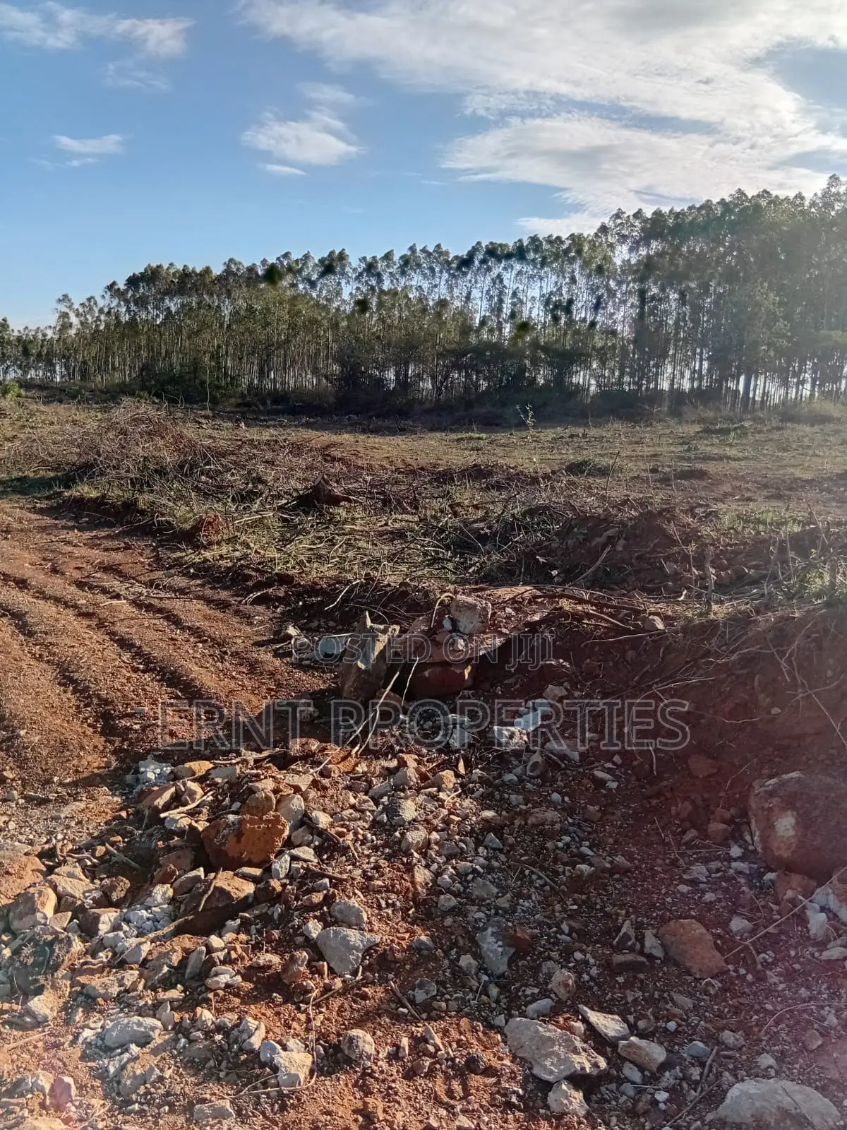 Easter Offer 26 1/4 Acre Plots for Sale Near African Nazarene