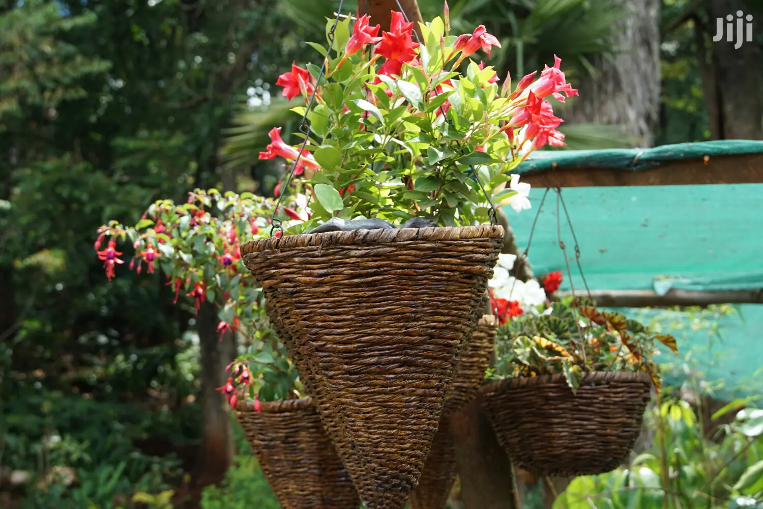 Hanging Flowers And Potted Plants